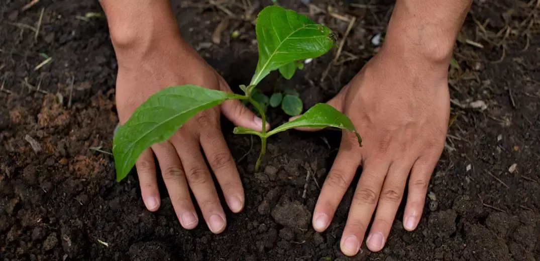 Nestlé unveils plans to support the transition to a regenerative food system